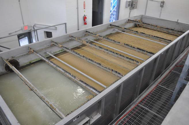 1583065649809314.bmp 1583065649809314.bmp